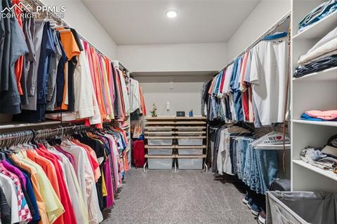 Tiny photo for 1971 Mesa Park View, Colorado Springs, CO 80904 (MLS # 9077772)