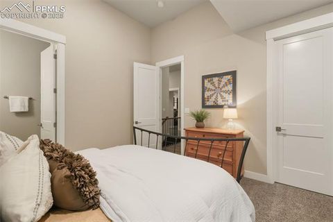 Tiny photo for 1971 Mesa Park View, Colorado Springs, CO 80904 (MLS # 9077772)