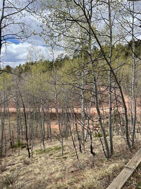 Tiny photo for 646 Grey Eagle Drive, Cripple Creek, CO 80813 (MLS # 3301465)
