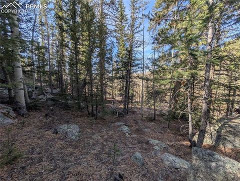 Photo of 386 Brook Drive, Lake George, CO 80827 (MLS # 6638587)