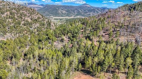 Photo of 56 Fir Lane, Florissant, CO 80816 (MLS # 5934941)