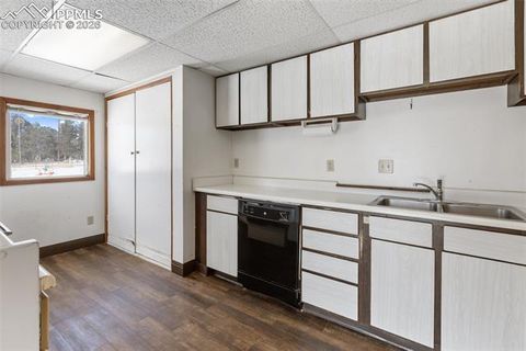 Tiny photo for 2300 Rampart Range Road, Woodland Park, CO 80863 (MLS # 7081273)