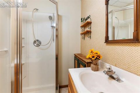 Tiny photo for 2300 Rampart Range Road, Woodland Park, CO 80863 (MLS # 7081273)