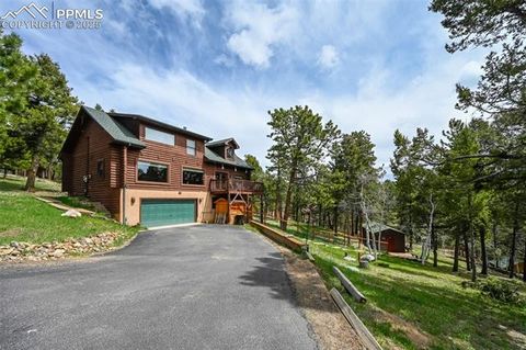 78 Barr Lake Circle Divide CO 80814