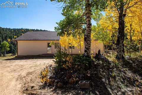 1054 Cantiberry Road Divide CO 80814