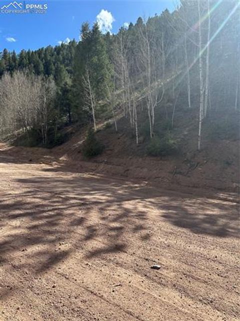 TBD County Road 61 Divide CO 80814