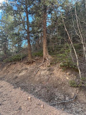 TBD County Road 61