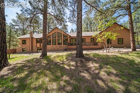 5846 S Pike Drive Larkspur CO 80118