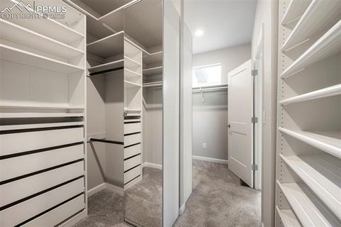 Tiny photo for 1073 Native Dancer Terrace, Colorado Springs, CO 80921 (MLS # 3434201)