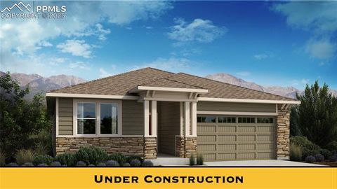 6045 Miller Run Place Colorado Springs CO 80924