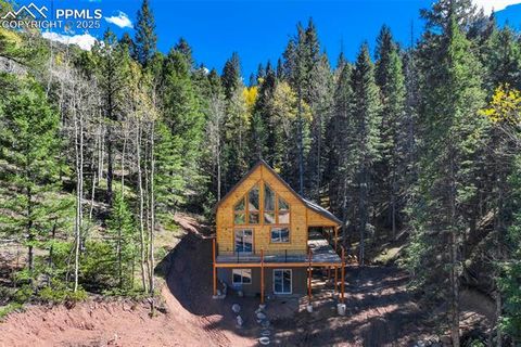 Photo of 162 Kernite Lane, Divide, CO 80814 (MLS # 6145502) Photo of 162 Kernite Lane, Divide, CO 80814 (MLS # 6145502)
