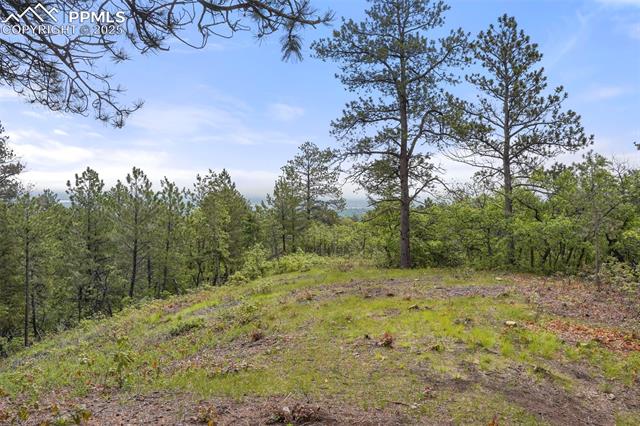 2054 Stratton Forest Heights