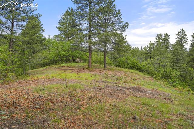 2054 Stratton Forest Heights