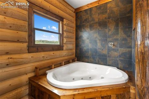 Tiny photo for 392 Brooks Lane, Woodland Park, CO 80863 (MLS # 9541270)