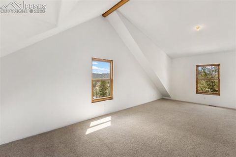 Tiny photo for 392 Brooks Lane, Woodland Park, CO 80863 (MLS # 9541270)