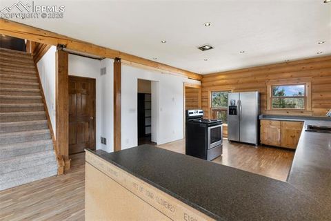 Tiny photo for 392 Brooks Lane, Woodland Park, CO 80863 (MLS # 9541270)