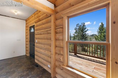 Tiny photo for 392 Brooks Lane, Woodland Park, CO 80863 (MLS # 9541270)