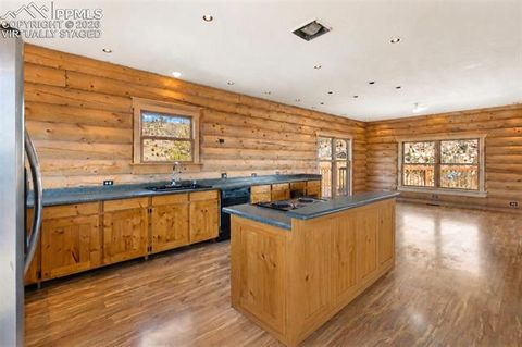 Tiny photo for 392 Brooks Lane, Woodland Park, CO 80863 (MLS # 9541270)