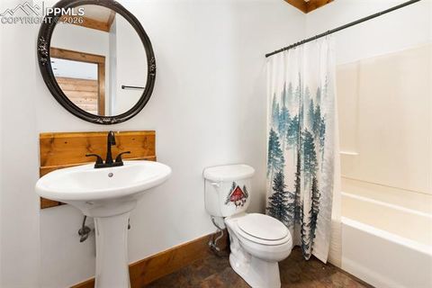 Tiny photo for 392 Brooks Lane, Woodland Park, CO 80863 (MLS # 9541270)