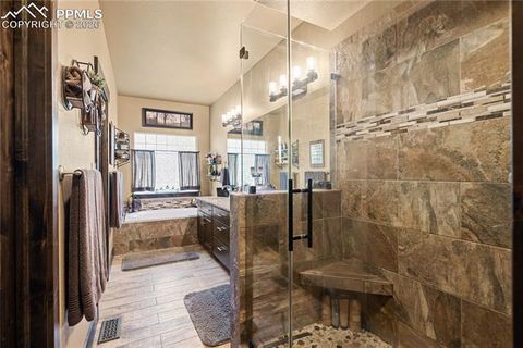 Tiny photo for 208 Green Rock Place, Monument, CO 80132 (MLS # 3433521)