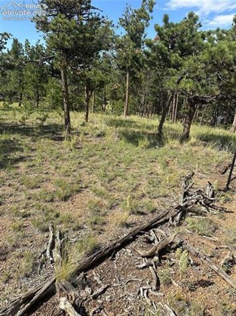 Photo of 315 Thunder Ridge Road, Florissant, CO 80816 (MLS # 5522220)