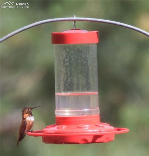 Tiny photo for 725 Lancers Court, Monument, CO 80132 (MLS # 3717979)