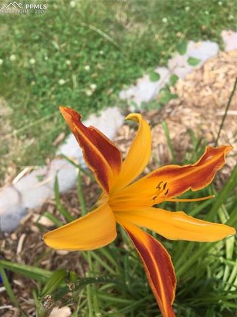 Tiny photo for 725 Lancers Court, Monument, CO 80132 (MLS # 3717979)