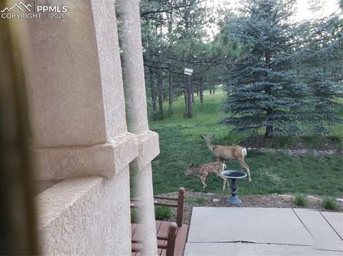 Tiny photo for 725 Lancers Court, Monument, CO 80132 (MLS # 3717979)