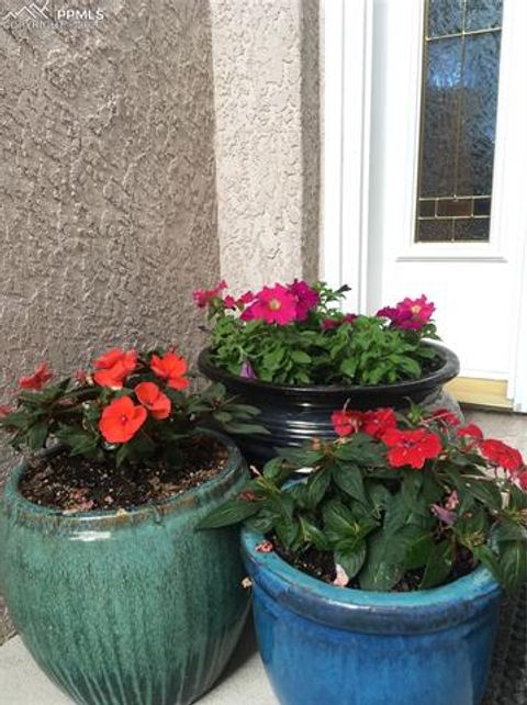 Tiny photo for 725 Lancers Court, Monument, CO 80132 (MLS # 3717979)