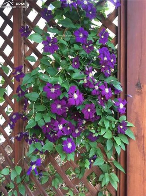 Tiny photo for 725 Lancers Court, Monument, CO 80132 (MLS # 3717979)