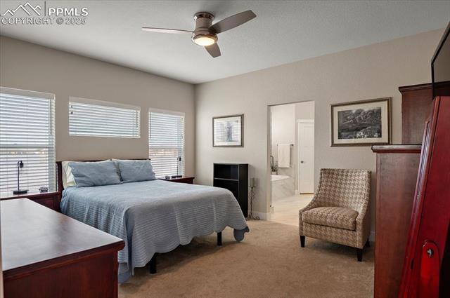 695 N Paradox Drive