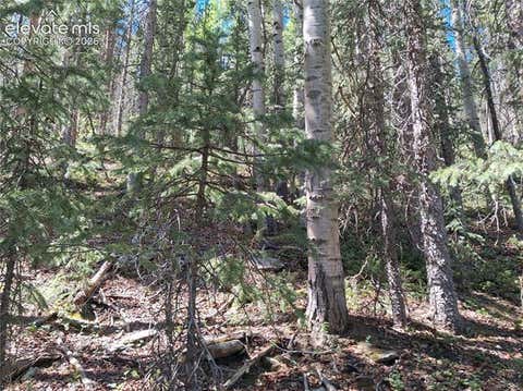Photo of 2462 Anges Drive, Cripple Creek, CO 80813 (MLS # 4903888)