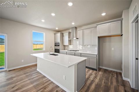 Tiny photo for 9124 Lanceleaf Drive, Colorado Springs, CO 80925 (MLS # 3924038)