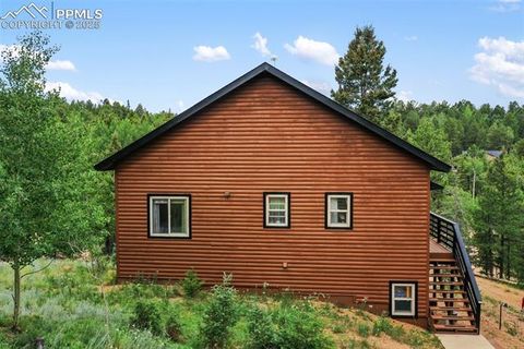 Tiny photo for 104 Mt Elbert Drive, Florissant, CO 80816 (MLS # 9119445)