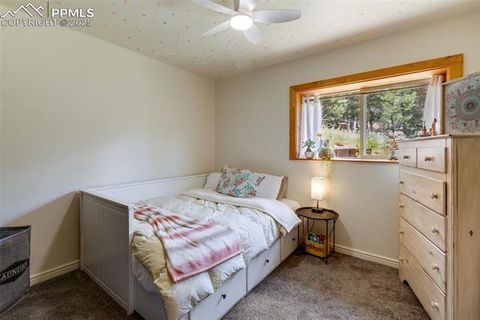 Tiny photo for 104 Mt Elbert Drive, Florissant, CO 80816 (MLS # 9119445)