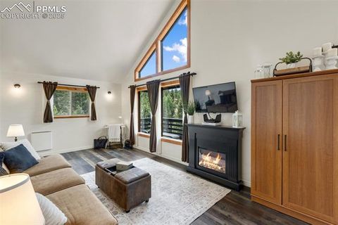 Tiny photo for 104 Mt Elbert Drive, Florissant, CO 80816 (MLS # 9119445)