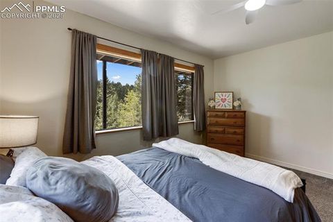 Tiny photo for 104 Mt Elbert Drive, Florissant, CO 80816 (MLS # 9119445)