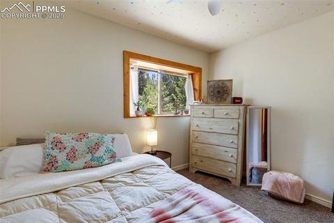 Tiny photo for 104 Mt Elbert Drive, Florissant, CO 80816 (MLS # 9119445)