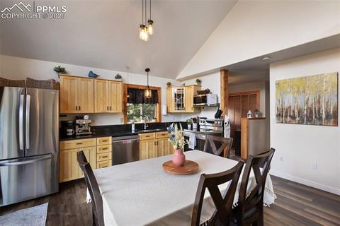 Tiny photo for 104 Mt Elbert Drive, Florissant, CO 80816 (MLS # 9119445)