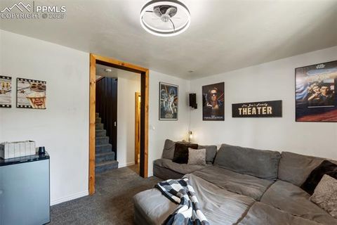 Tiny photo for 104 Mt Elbert Drive, Florissant, CO 80816 (MLS # 9119445)