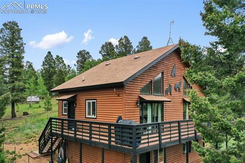 Tiny photo for 104 Mt Elbert Drive, Florissant, CO 80816 (MLS # 9119445)
