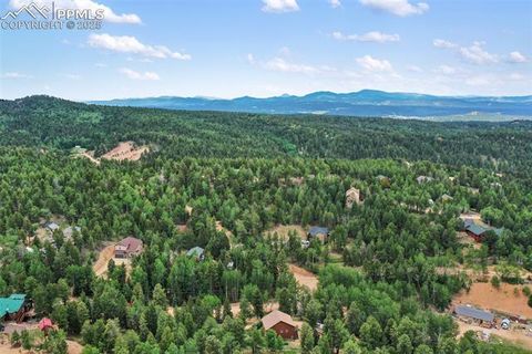 Tiny photo for 104 Mt Elbert Drive, Florissant, CO 80816 (MLS # 9119445)