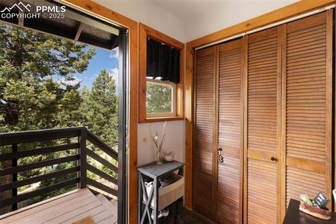 Tiny photo for 104 Mt Elbert Drive, Florissant, CO 80816 (MLS # 9119445)