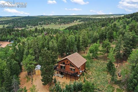 Tiny photo for 104 Mt Elbert Drive, Florissant, CO 80816 (MLS # 9119445)