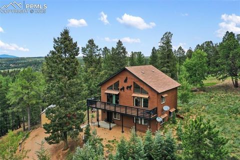 Photo of 104 Mt Elbert Drive, Florissant, CO 80816 (MLS # 9119445)