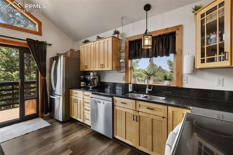 Tiny photo for 104 Mt Elbert Drive, Florissant, CO 80816 (MLS # 9119445)