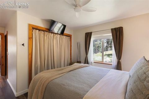 Tiny photo for 104 Mt Elbert Drive, Florissant, CO 80816 (MLS # 9119445)