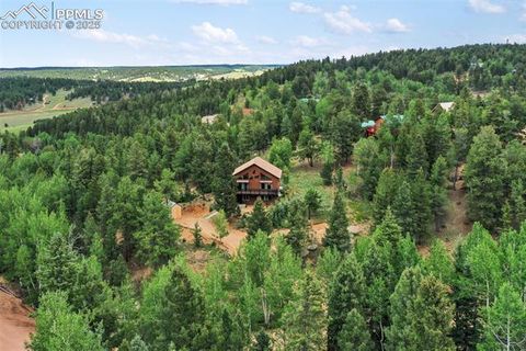 Tiny photo for 104 Mt Elbert Drive, Florissant, CO 80816 (MLS # 9119445)