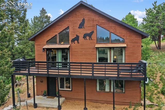 104 Mt Elbert Drive