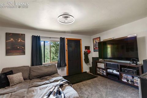 Tiny photo for 104 Mt Elbert Drive, Florissant, CO 80816 (MLS # 9119445)